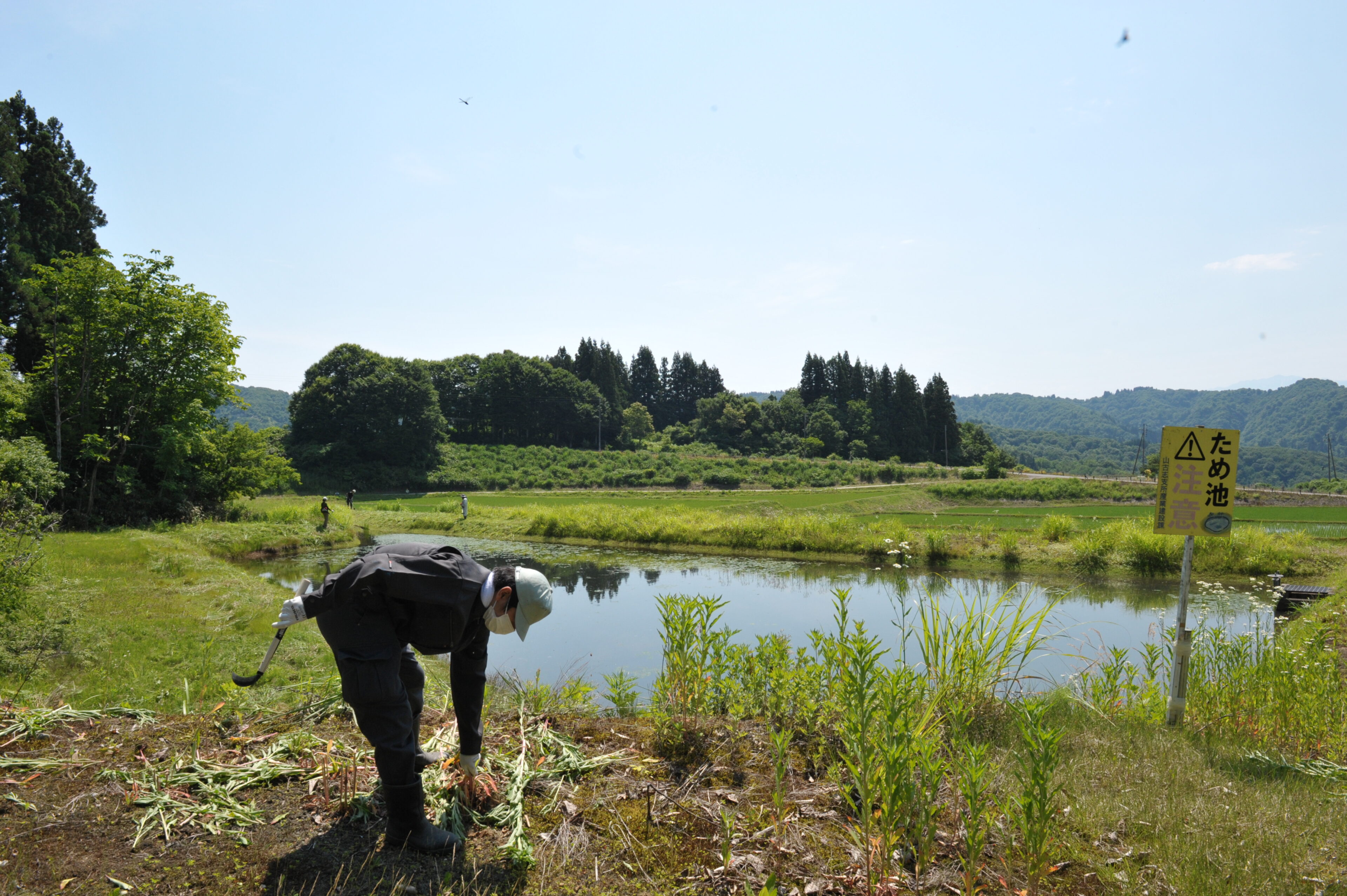 ECHIGO棚田サポーター活動に参加します